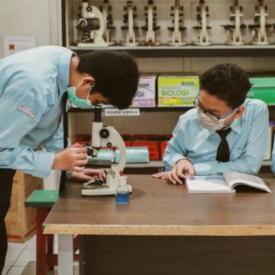 LAB IPA